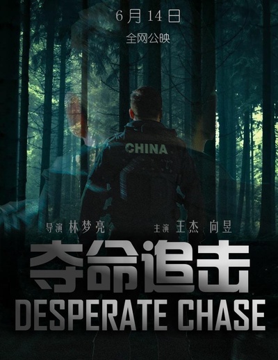 夺命追击的海报-正式海报