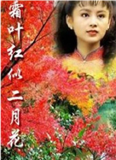 霜叶红似二月花的海报-正式海报