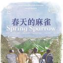 春天的麻雀