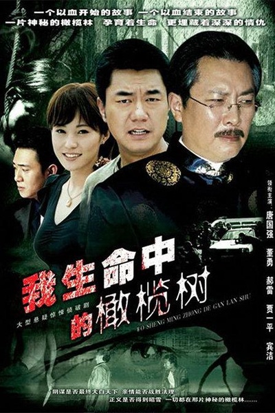我生命中的橄榄树的海报-正式海报