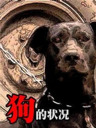 狗的状况的海报-正式海报
