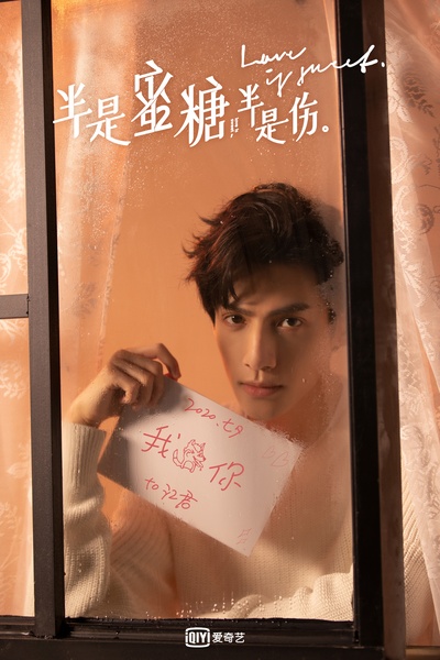 半是蜜糖半是伤的海报-角色海报