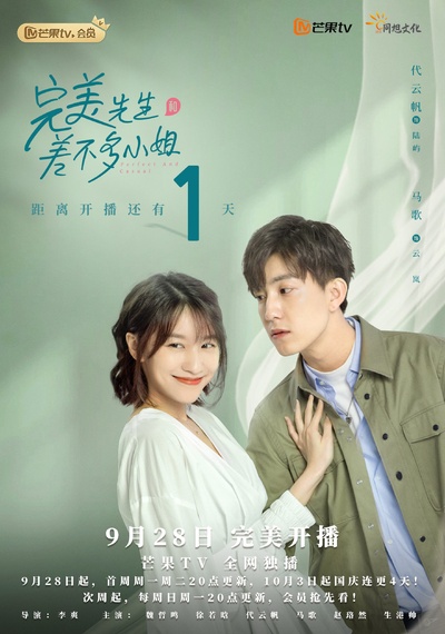 完美先生和差不多小姐的海报-角色海报