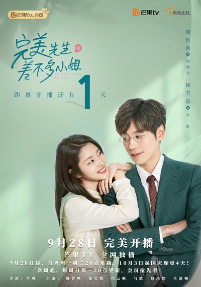 完美先生和差不多小姐的海报-角色海报
