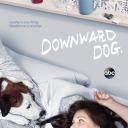 萌犬先生