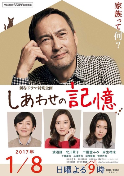 幸福的记忆的海报-正式海报