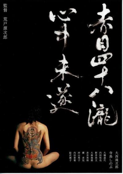 赤目四十八泷心中未遂的海报-正式海报
