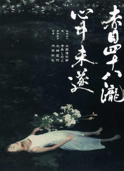 赤目四十八泷心中未遂的海报-其他海报