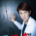 科捜研之女 第13季