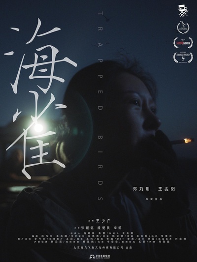 海雀的海报-正式海报