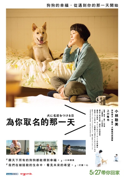 为你取名的那一天的海报-正式海报 台湾
