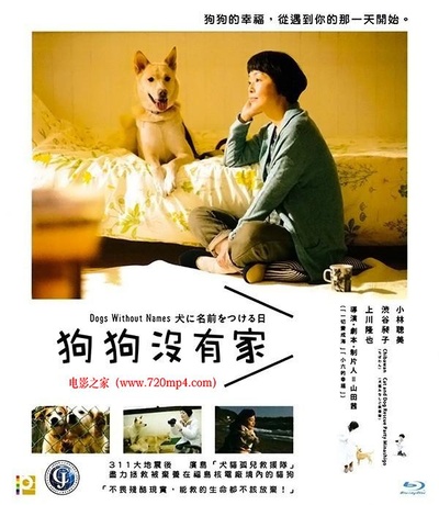 为你取名的那一天的海报-正式海报