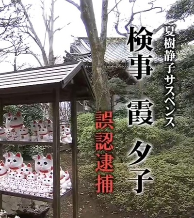 检事霞夕子～误认逮捕的海报-正式海报
