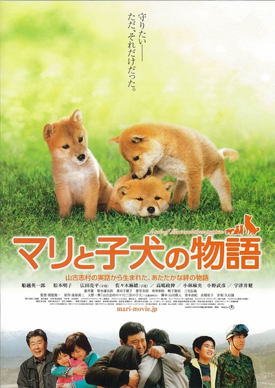 爱犬的奇迹的海报-正式海报 日本