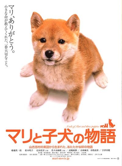 爱犬的奇迹的海报-正式海报 日本