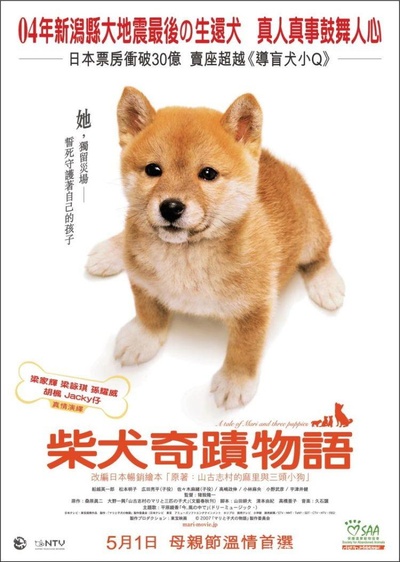 爱犬的奇迹的海报-正式海报 香港