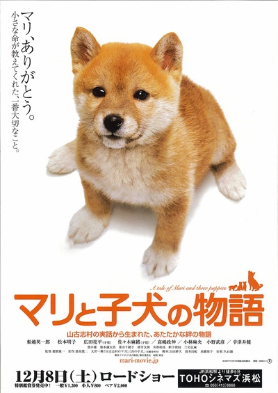 爱犬的奇迹的海报-正式海报 日本