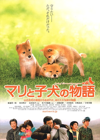 爱犬的奇迹的海报-正式海报 日本