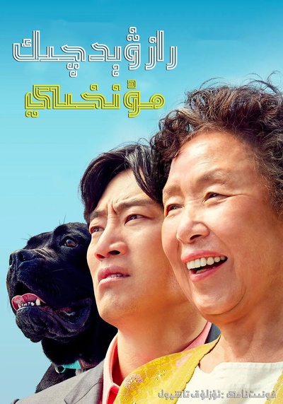 哦！文姬的海报-正式海报