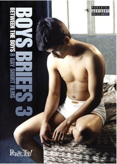 Boys Briefs 3: Between the Boys的海报-正式海报