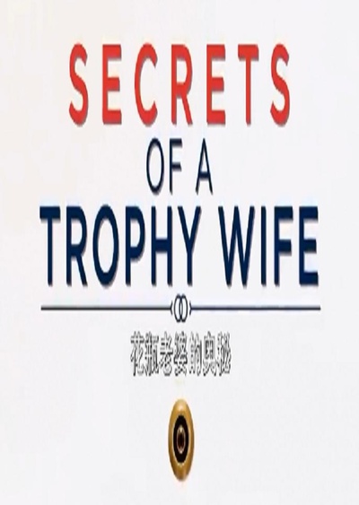 花瓶老婆的秘密的海报-正式海报