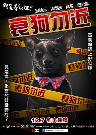 命运狗不理的海报-正式海报