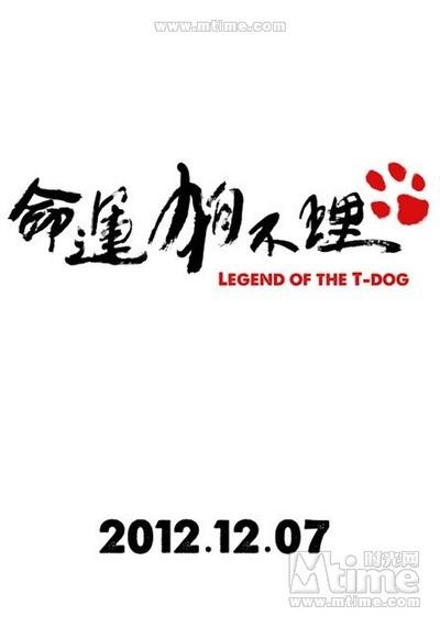 命运狗不理的海报-正式海报