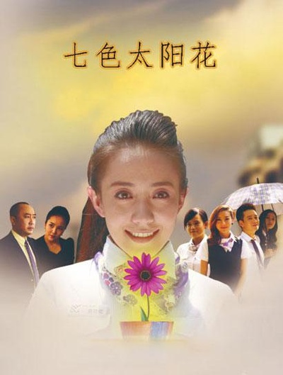 七色太阳花的海报-正式海报