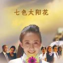 七色太阳花