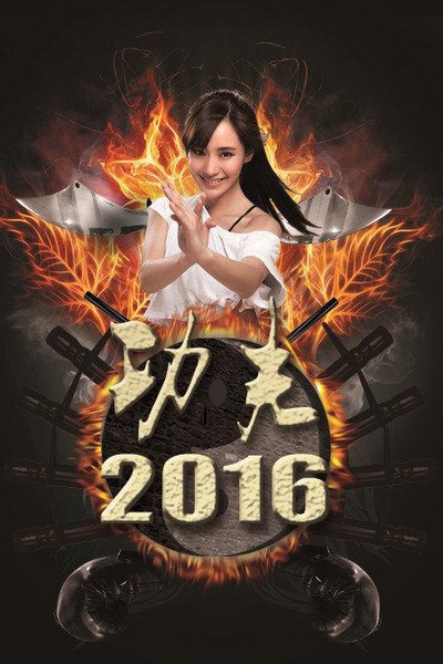 功夫2016的海报-正式海报