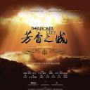 芳香之城传奇
