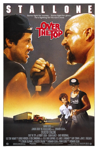 飞越巅峰的海报-正式海报