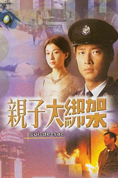 亲子大绑架的海报-正式海报