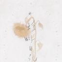 蜉蝣日记