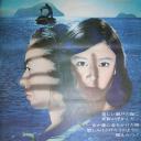 蜉蝣