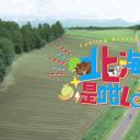 北海道是咁Look