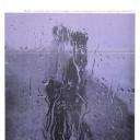 雨族