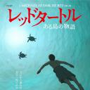 红海龟