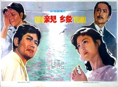亲缘的海报-正式海报 中国大陆