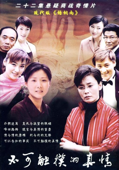 不可触摸的真情的海报-正式海报