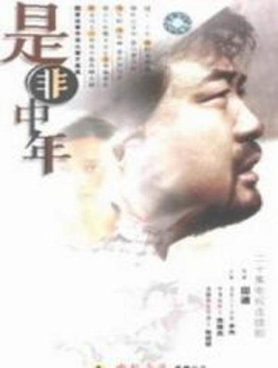 是非中年的海报-正式海报