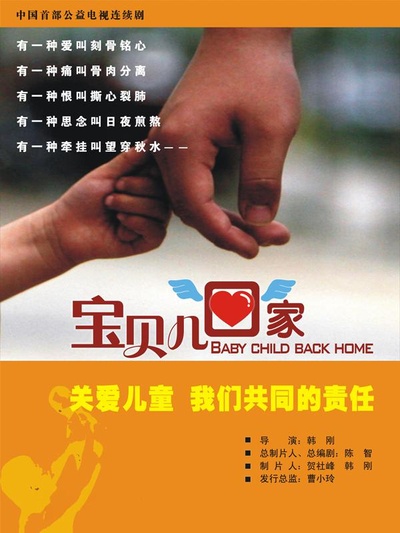 宝贝儿回家的海报-正式海报