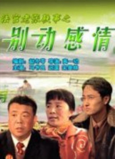 法官老张轶事之别动感情的海报-正式海报