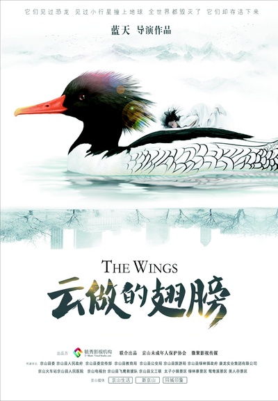 云做的翅膀的海报-正式海报