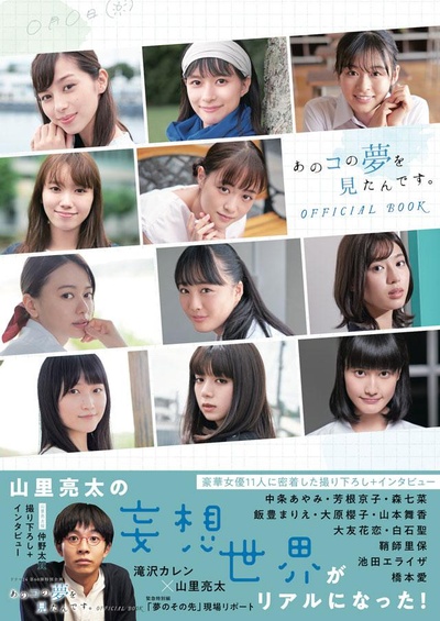 我梦见了那个女孩的海报-正式海报