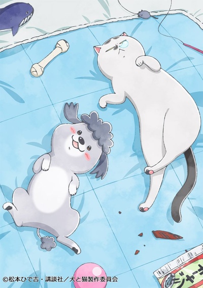 养狗与猫每天都很开心的海报-正式海报