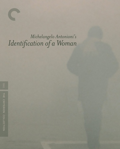 一个女人的身份证明的海报-其他海报