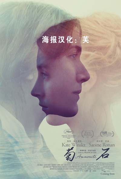 菊石的海报-正式海报
