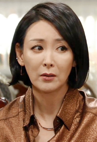 我女婿的女人的海报-角色海报