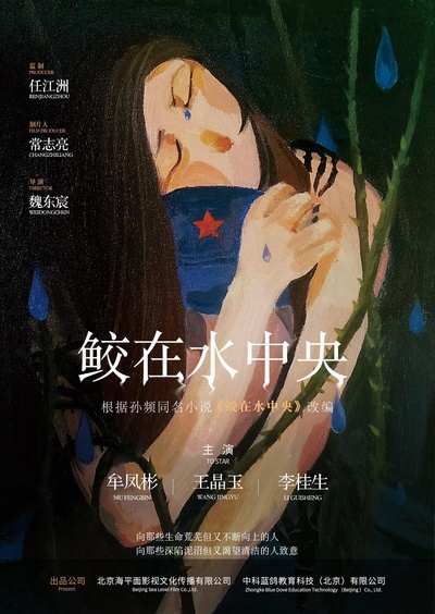 鲛在水中央的海报-正式海报